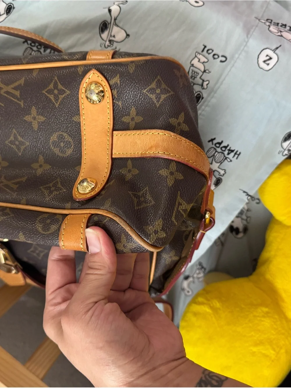 Louis Vuitton Stressa Pm